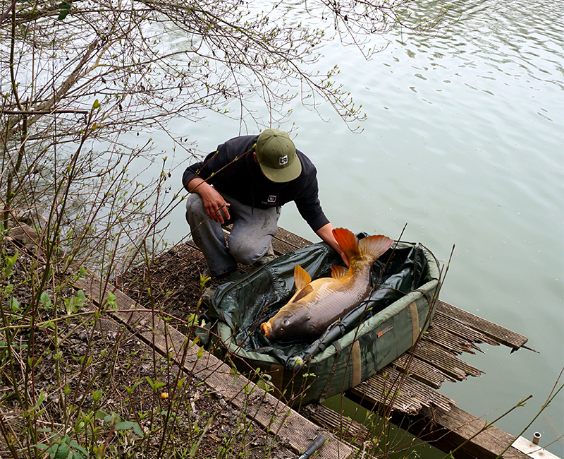 Artikel submarysteg800x650 - Artikel