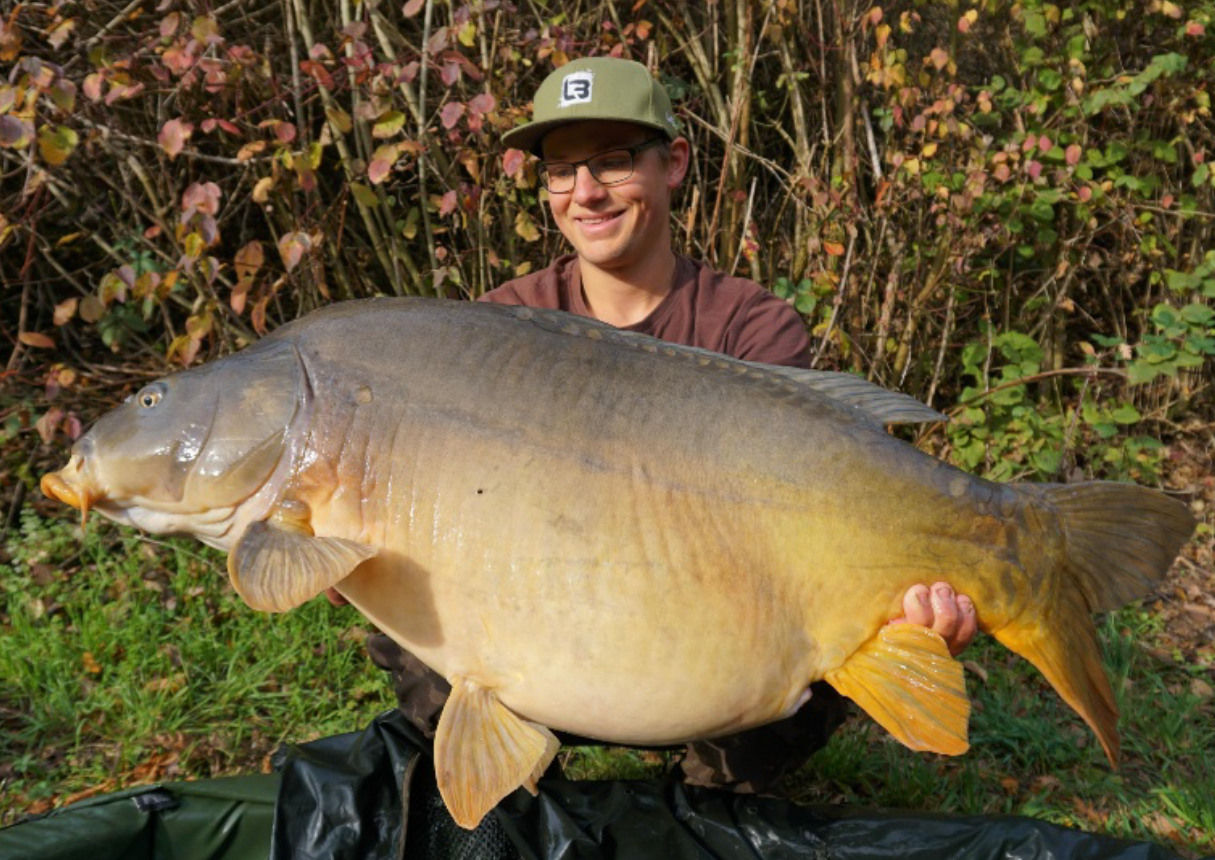 Artikel Fisch1 - Artikel