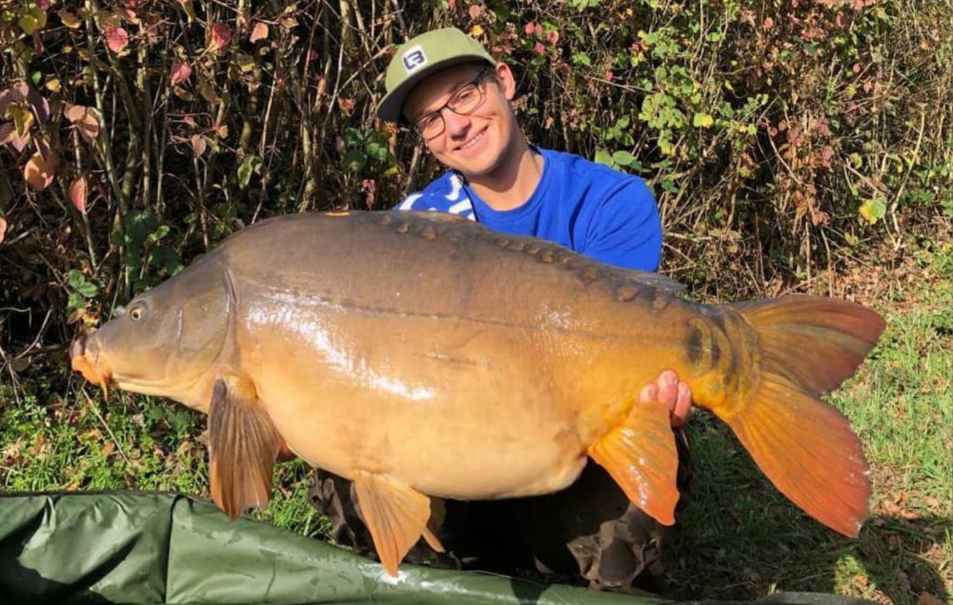 Artikel Fisch2 - Artikel