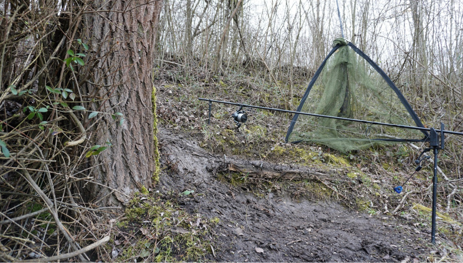 Artikel ichstehe - Artikel