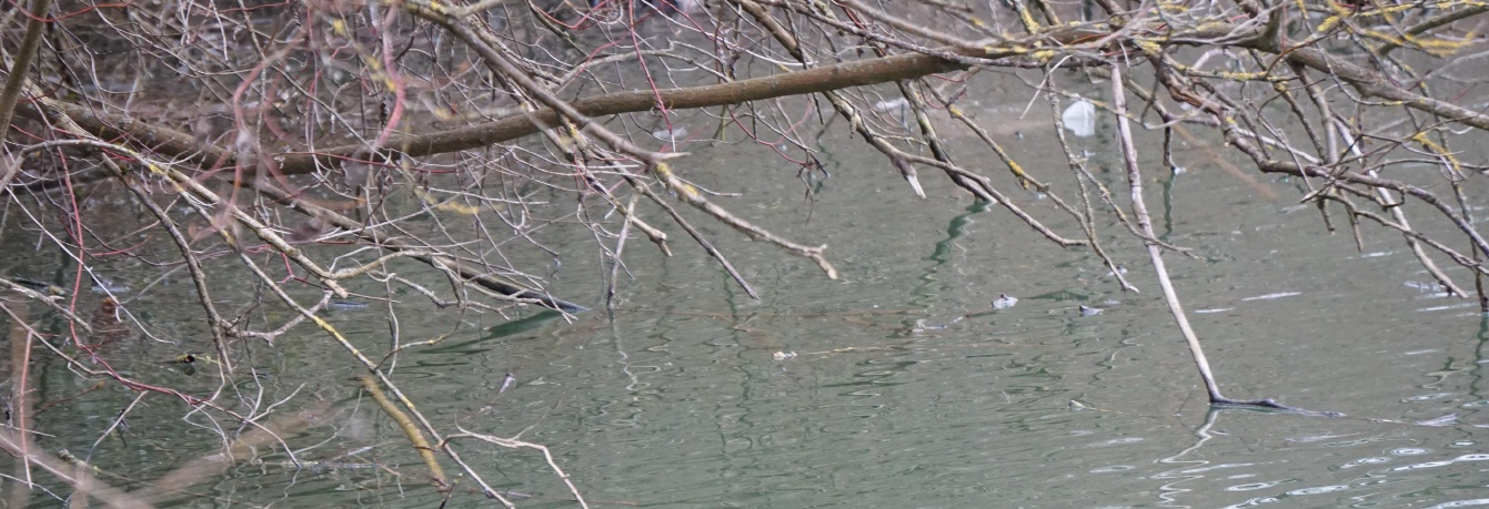 Artikel wasser2 - Artikel